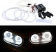 Car Headlight Angel Eyes Rings 12V Volkswagen Golf White Color 2pcs