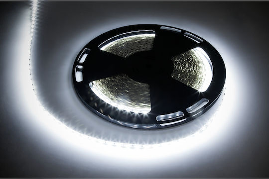 Rebel Bandă LED 12V Alb Rece Lumină 25m