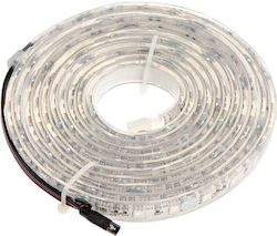Lamptron LED-Streifen mit RGB Licht 5m Lamptron LED-Streifen mit RGB Licht 5m