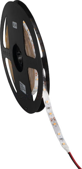 Kanlux Rezistent la apă Bandă LED 12V Alb Cald Lumină 5m Tip SMD3528