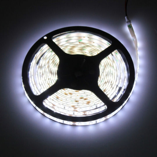 Eco Light Ταινία LED 12V 5m Τύπου SMD2835