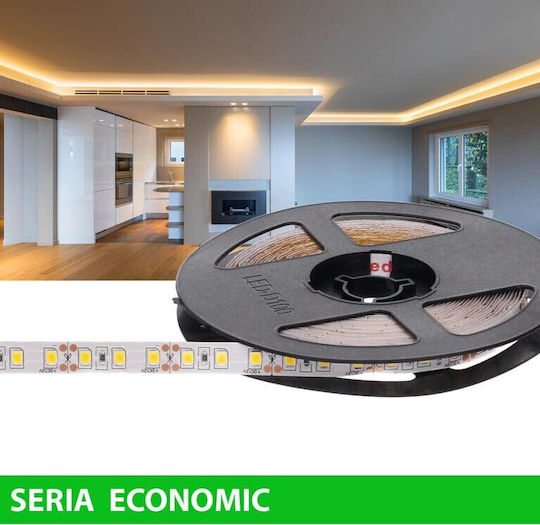 Prescot LED Strip 12V Warm White Light 5m Type SMD2835