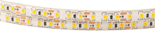 Eco Light LED Лента 12V Неутрално бяло Светлина 5м Тип SMD2835