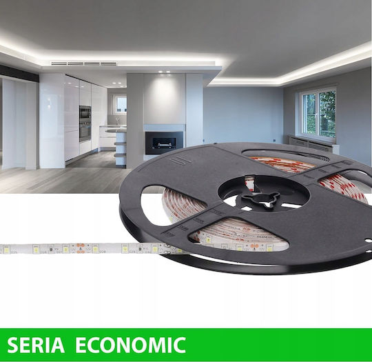 Prescot Ταινία LED 12V Ψυχρό Λευκό Φως Τύπου SMD2835