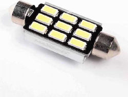 Maxeed Lampe LED Maxeed Lampe LED