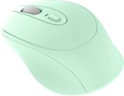 Indena Indena G-222D Indena Indena G-222D