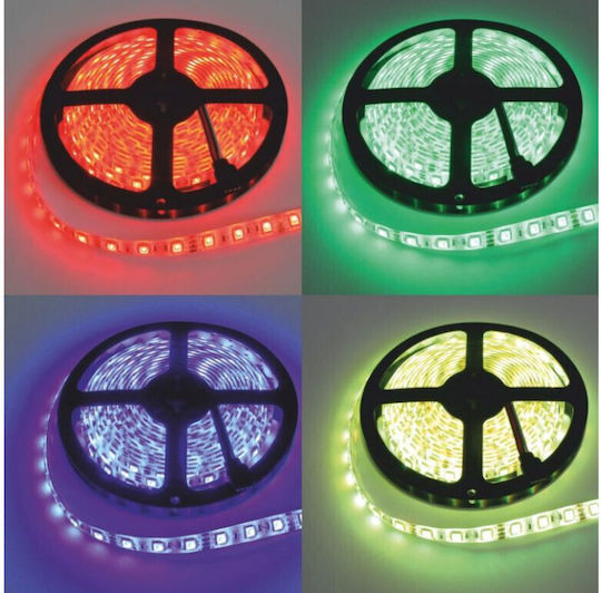 Eco Light LED-Streifen 12V RGB Licht 5m Typ SMD5050