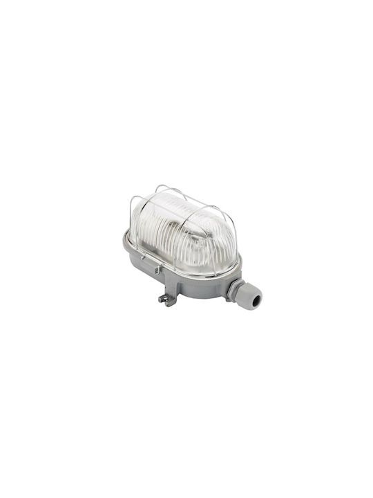 Eurohandel Deckenleuchte für den Außenbereich E27 Transparent OVAL-7040G