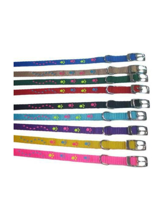 Pet Camelot Dog Collar