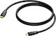 Procab Cablu HDMI de sex masculin - HDMI de sex masculin 10m Negru