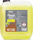 Clinex 1x10l
