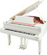 Thomann Acoustic Piano with Tail GP 160 with 88...