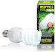 Exo Terra Uvb 100 Accessory for Reptiles Terrarium