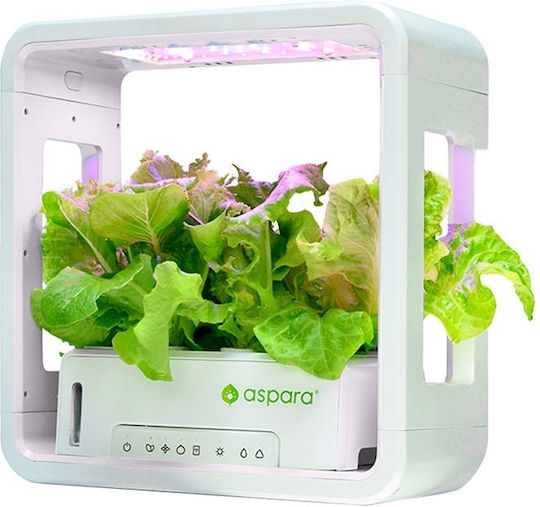 Aspara Gardening Accessories