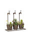Mauro F Planter Metal Bronze 49x49x48cm.