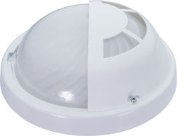 Eurohandel LED Pool-Scheinwerfer 60W