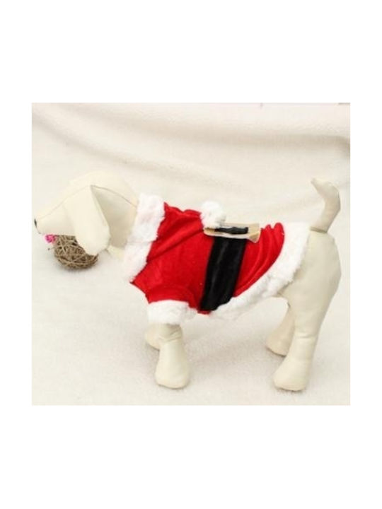Hundeshirt in Rot Farbe XS 24cm.