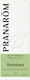 Pranarom Aromatisches Öl 10ml 1Stück S05109584