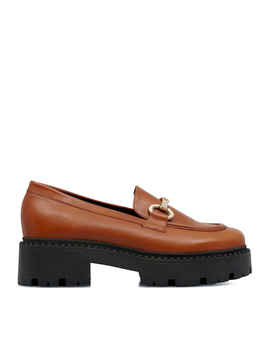 Bacali Collection
