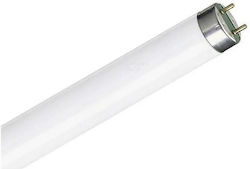 Olympia Electronics Fluorescent Lamp with Shape T5 8W