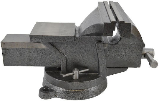 AWTools Vise AW24208