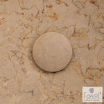 Fossil Valve Sink Beige