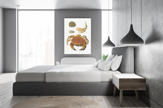 A Crab, A Pair Of Crab Claws And Two Turtle Shells By Johann Gustav Hoch (1716–1779) Painting on Canvas 40x65cm