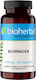 Bioherba Echinacea 210мг 100 капси
