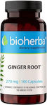Bioherba Ginger Root 270mg Ginger 100 κάψουλες