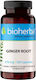 Bioherba Ginger Root 270мг 100 капси