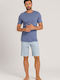 Hanro Blue