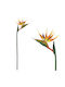 Artificial Decorative Branch Bird of Paradise Orange 80cm Marhome