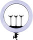 Ring Light 34cm with Mobile Phone Holder