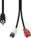 ProXtend 3.5mm male - 2x RCA male Cable Black 0.5m (M32XRCA-005)