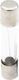 Sicherung Zylindrisch Glas Slow-Blow 6x30mm 0.8A (01.028.0174) 100Stück