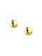 Earrings made of Gold 14K