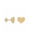 Earrings made of Gold 14K