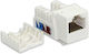 Emiter Netzwerk-Schlüsselsteine DC/FA-644-2SP RJ45 Kat.6 1 Stück