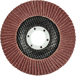 Graphite Disc de șlefuire Μetal 115mm
