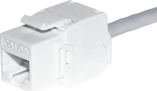 Netrack 105-39 Keystone Jack module, tool-free, white
