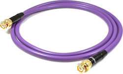 Melodika Cable 25m 1pcs