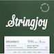 Stringjoy Σετ Χορδών Nickel Wound Ηλεκτρικής Κιθάρας 9 - 46"