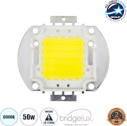 GloboStar LED 73762 GloboStar LED 73762