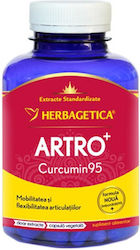 Herbagetica Arthro +Curcumin 95 120 Kräuterkapseln