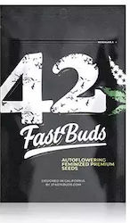 Fast Buds Semințe Canabisς