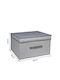 Tpster Kunststoff Aufbewahrungsbox mit Deckel Ανοιχτό Γκρι 60x40x30cm 1Stück