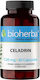Bioherba Celadrin 120mg Хранителна Добавка за Здравето на Ставите 60 Капсули