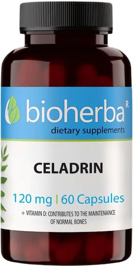 Bioherba Celadrin 120mg Хранителна Добавка за Здравето на Ставите 60 Капсули