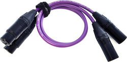 Melodika 2 x XLR-Stecker - 2 x XLR-Buchsen 3m MD2X30
