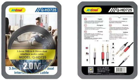 Andowl Qhd725 Kabel 2x 6,3mm Stecker - 3,5 mm Stecker 2m Schwarz (Q-HD725)
